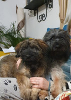 /album/en-fotogaleria/fb-img-1752347420566-jpg1/