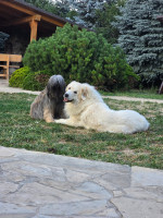 /album/en-fotogaleria/20250704-200341-0-jpg1/