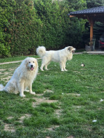 /album/en-fotogaleria/20250615-195725-jpg/