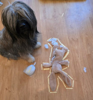 /album/en-fotogaleria/fb-img-1752345913358-jpg/